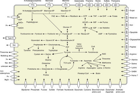 Figure 4.