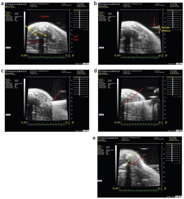 FIGURE 4