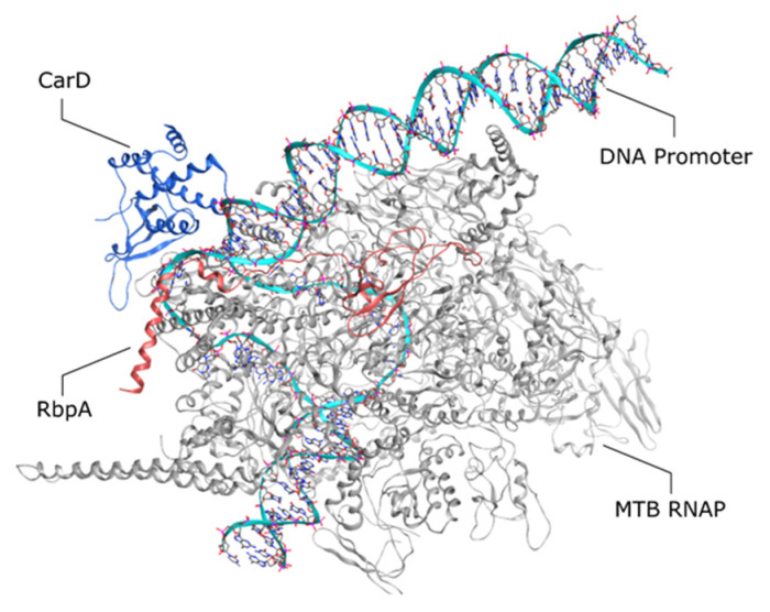 Figure 2