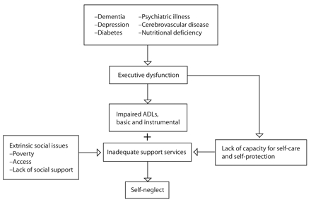 FIGURE 2—