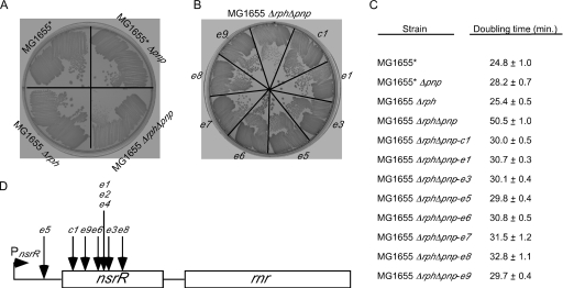 FIG. 1.