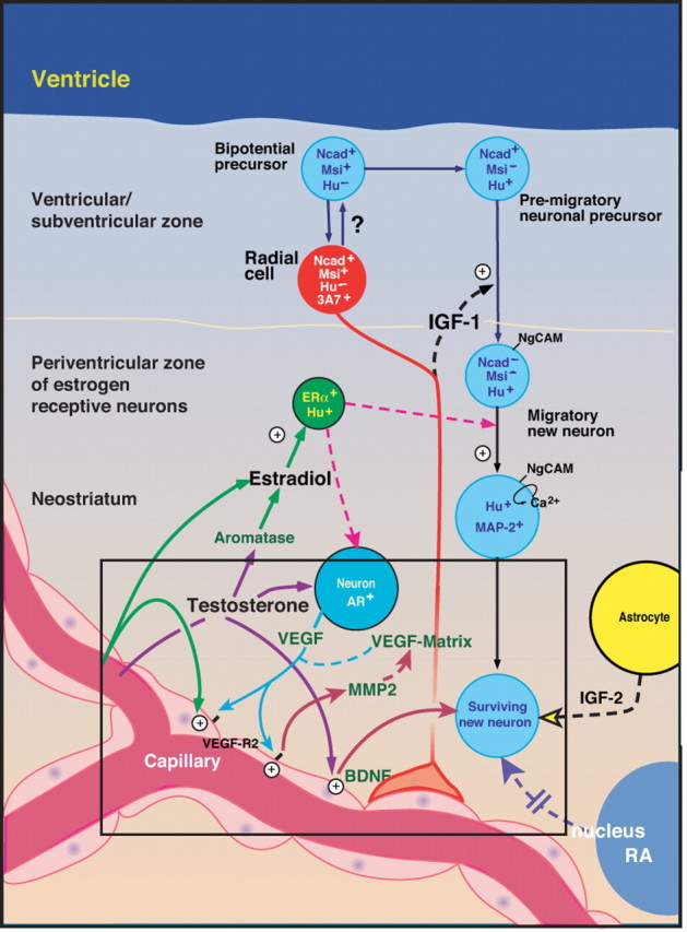 Figure 6.