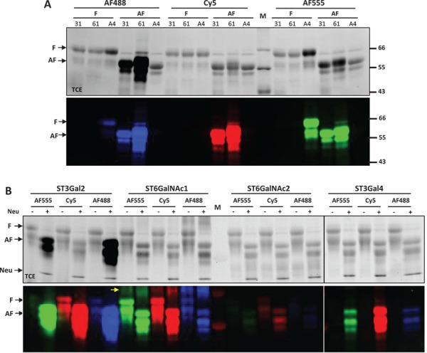 Fig. 2