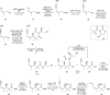 Scheme 3