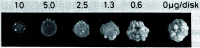 Fig. 23