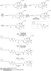Scheme 16