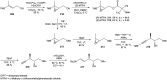 Scheme 23