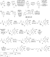 Scheme 5