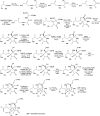 Scheme 14