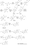 Scheme 24