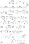 Scheme 11