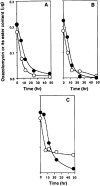 Fig. 26