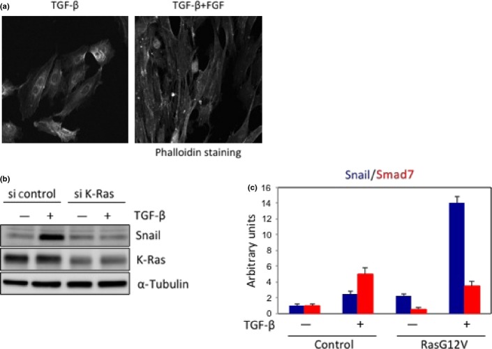 Fig 4