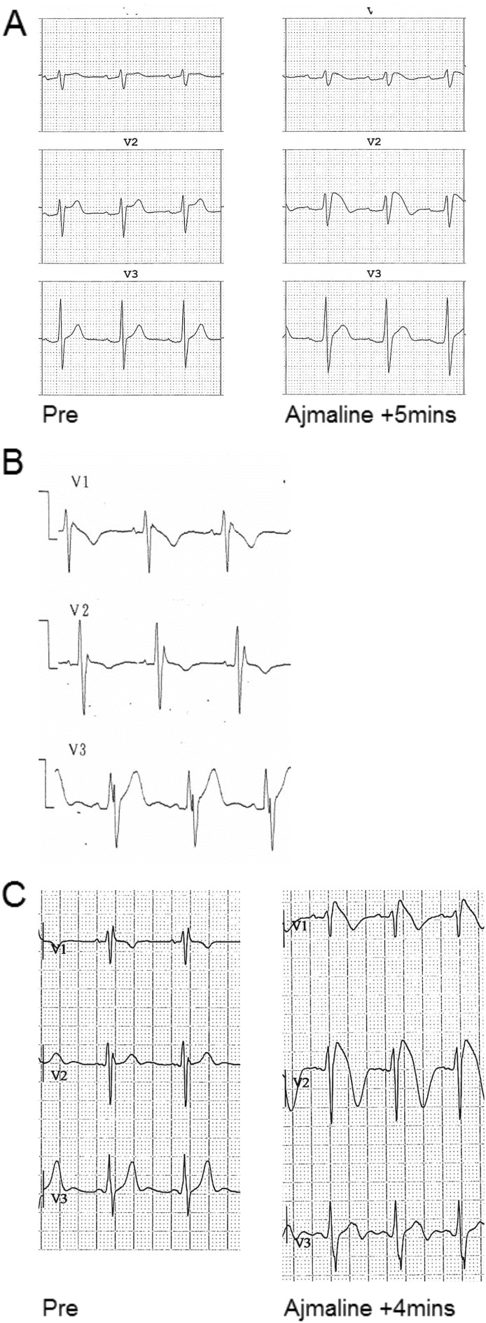 Fig. 4