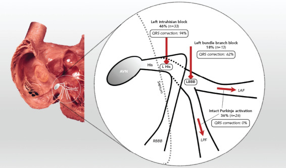 Figure 5: