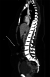 Image 1.