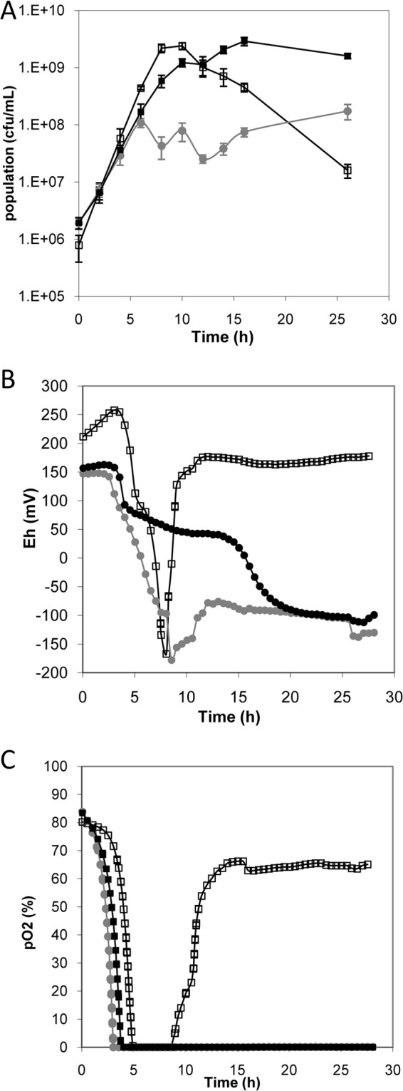 FIG 2