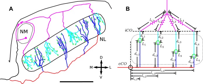 Fig. 1.