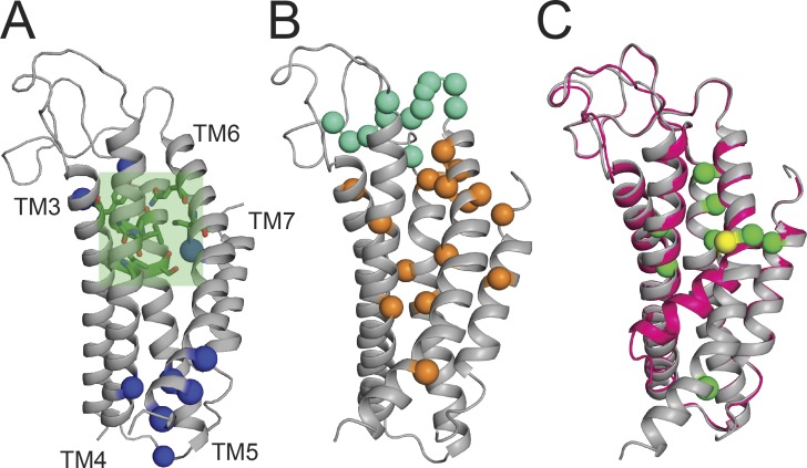 Figure 3.