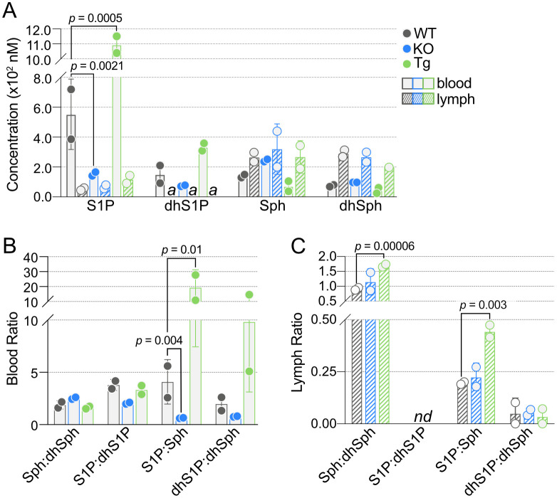 Figure 4