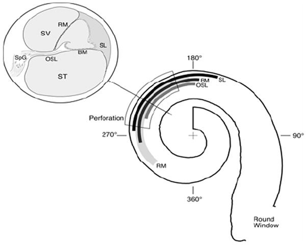 Fig. 16
