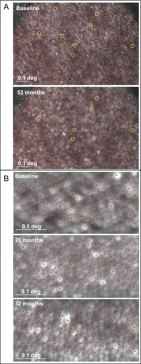 Figure 3.