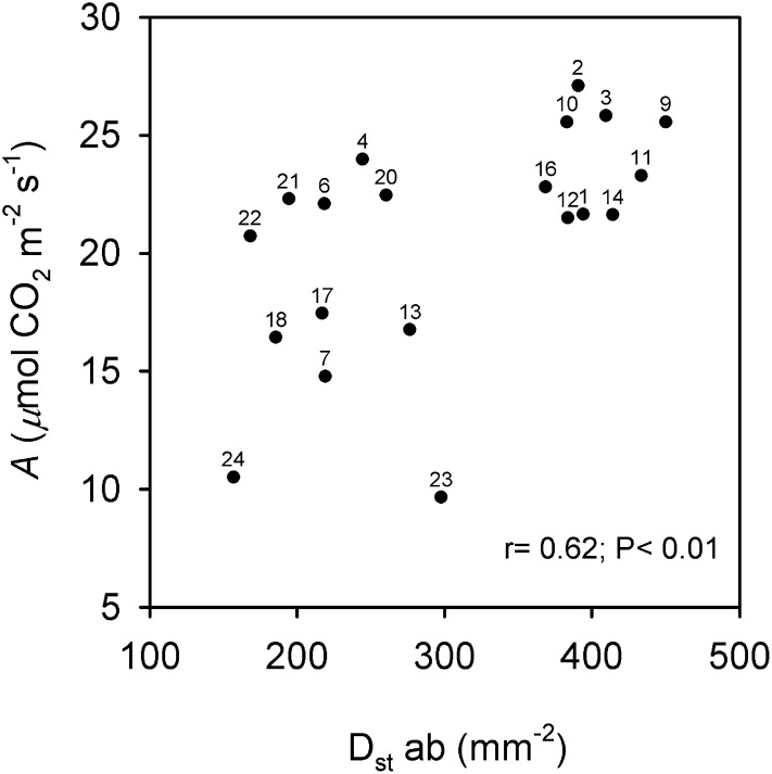 Figure 9.