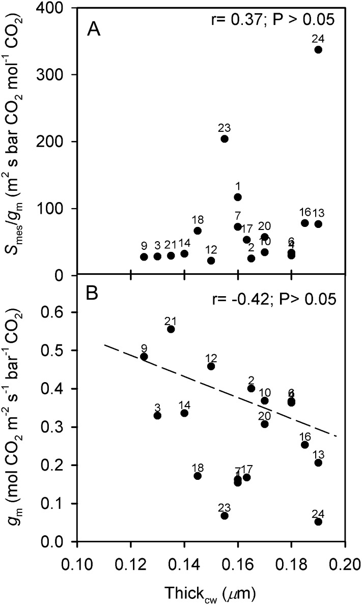 Figure 10.