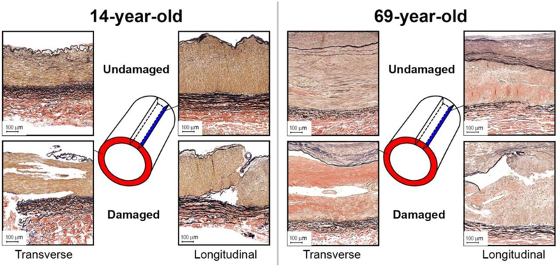 Fig. 9