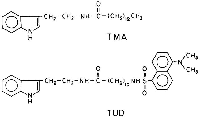 graphic file with name nihms-1061001-f0005.jpg