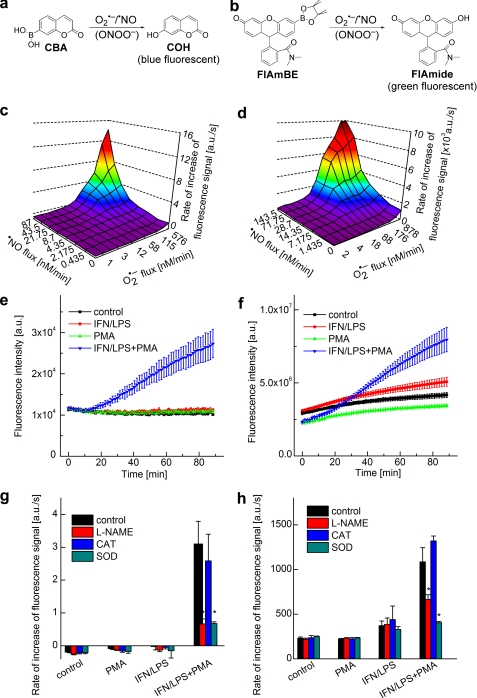 FIGURE 4.