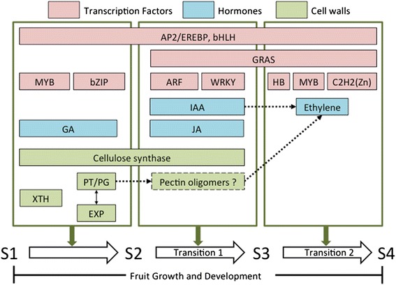 Fig. 11