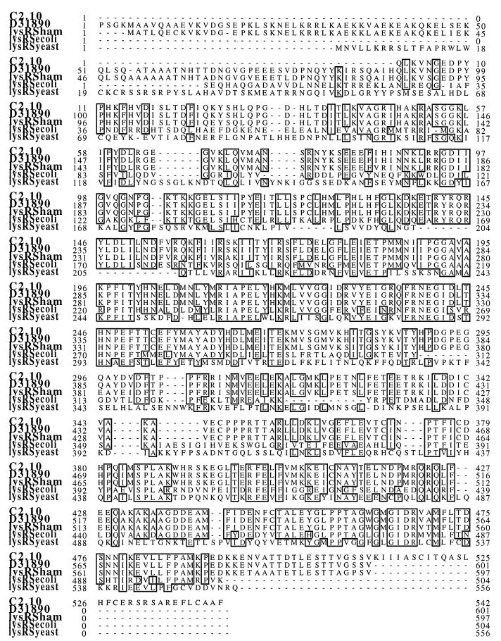 FIG. 1