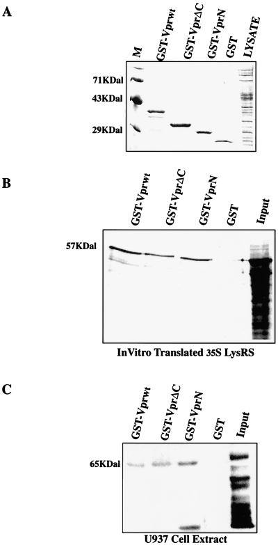 FIG. 5