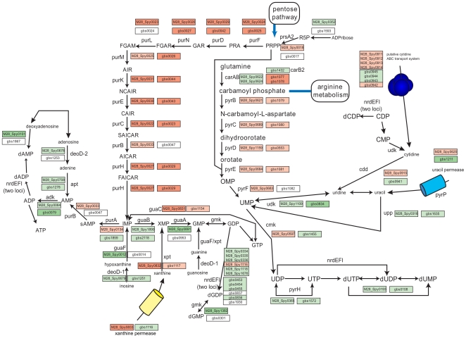 Figure 4