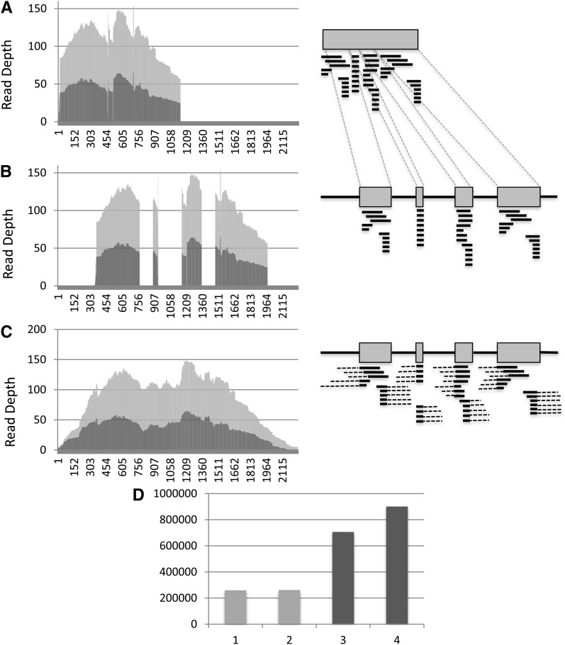 Figure 4 