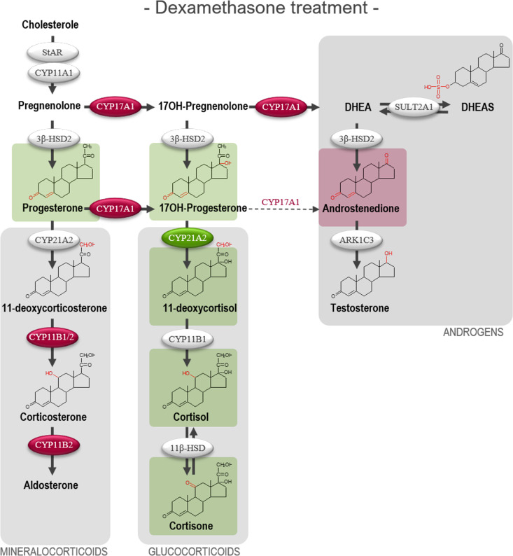 Figure 5