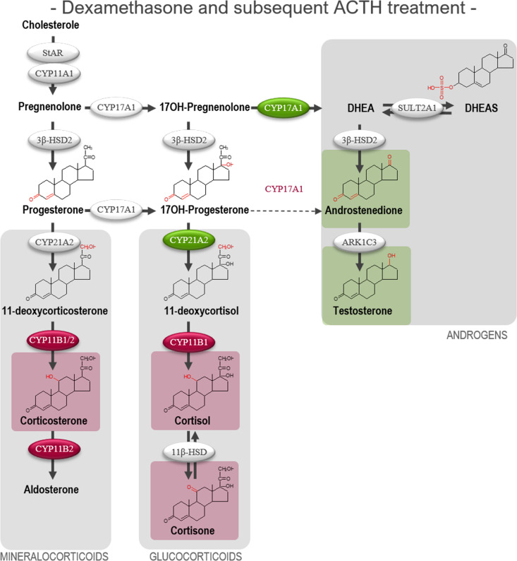 Figure 7