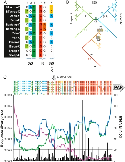 Figure 6.