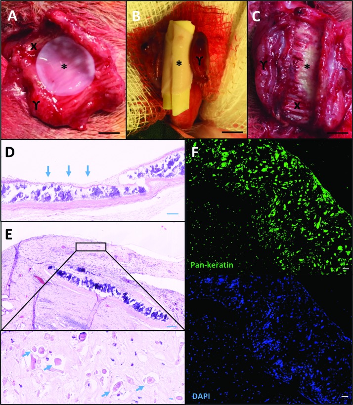 FIG. 5.