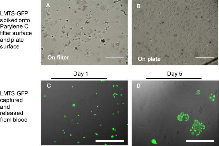 Fig.3