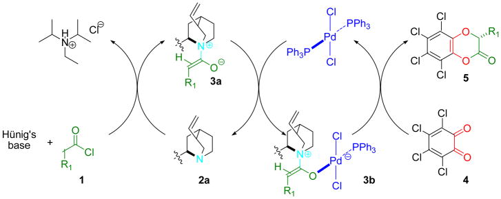 Scheme 6