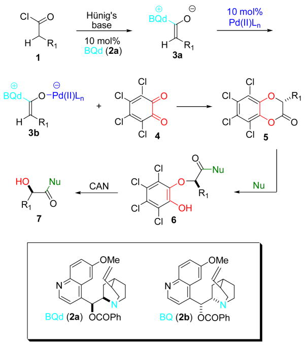 Scheme 1