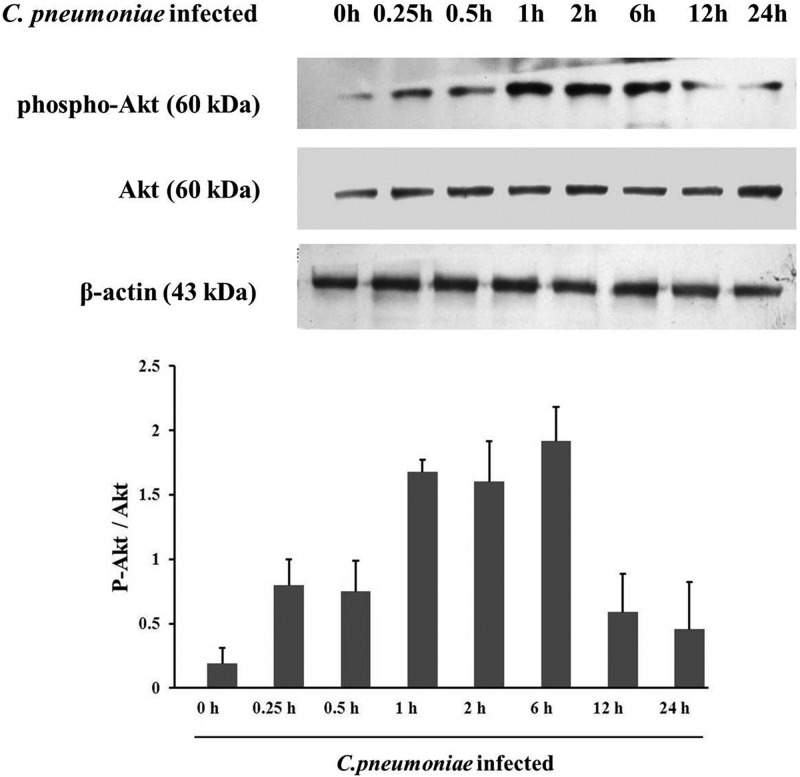 Fig 4