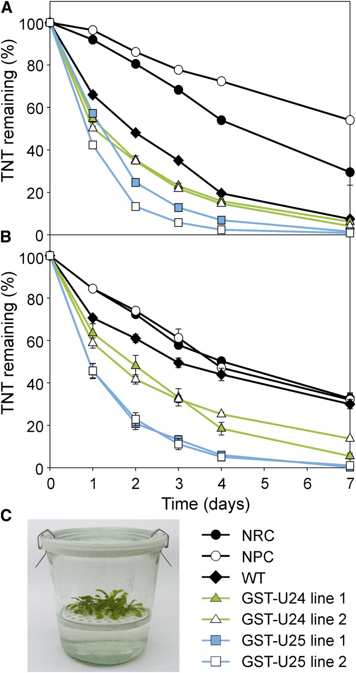 Figure 6.