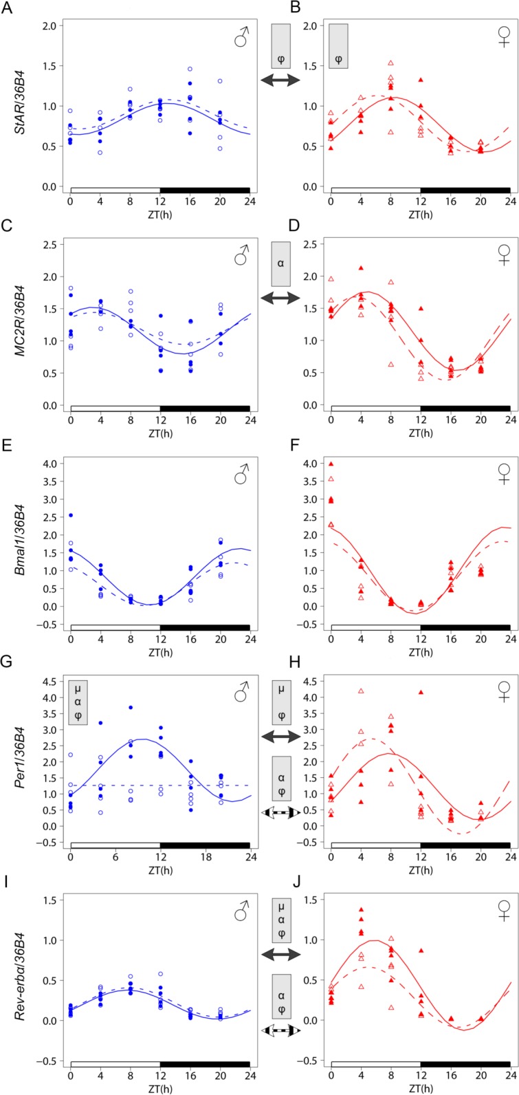 Fig 4