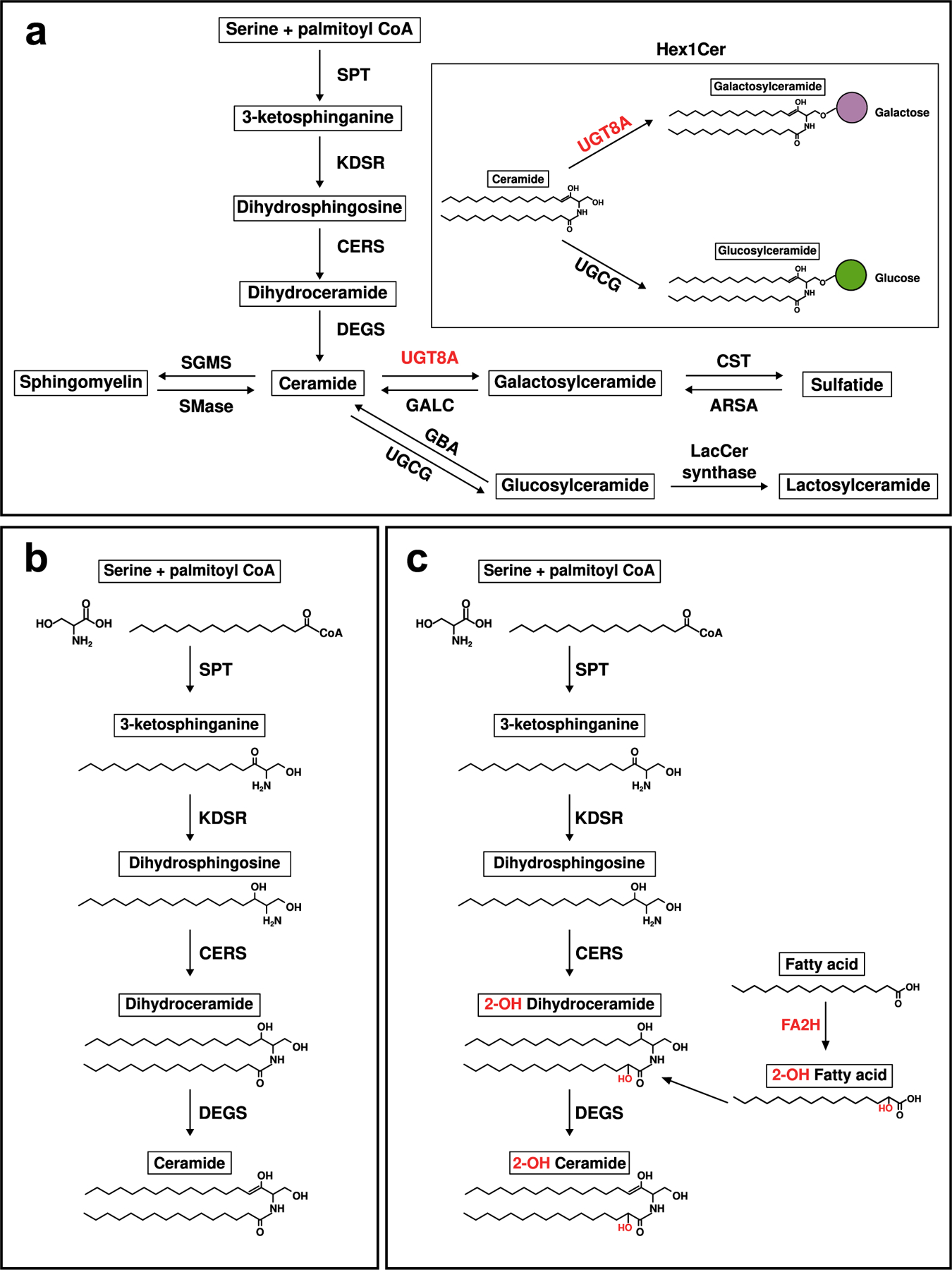 Fig. 7.