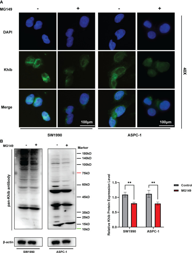 Figure 6