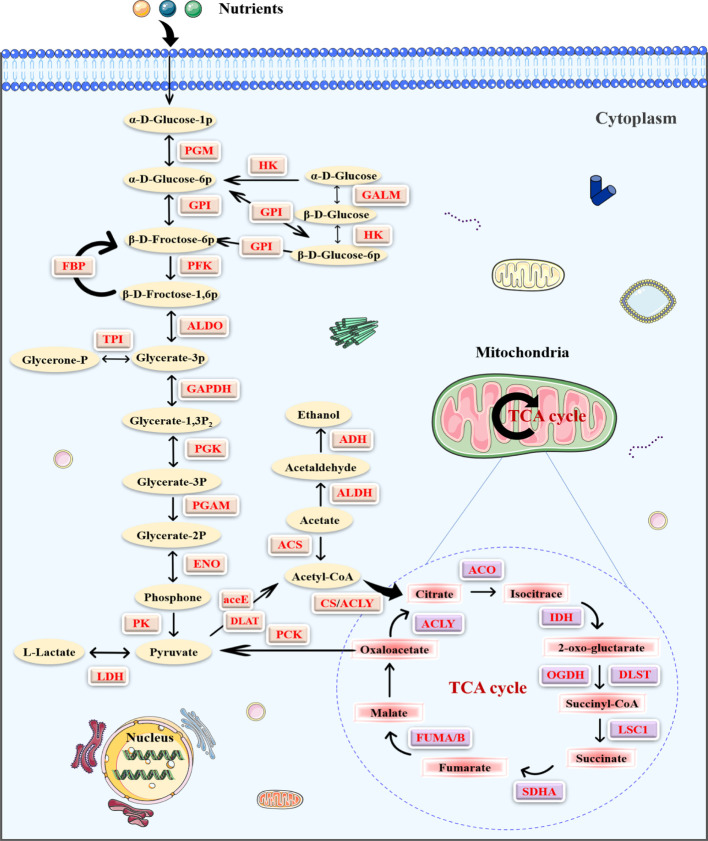 Figure 5