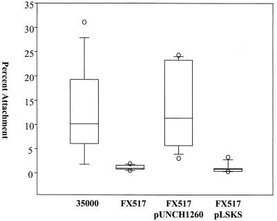 FIG. 1.